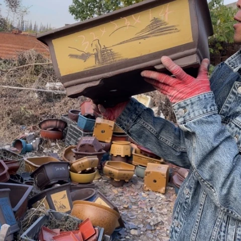 花盆紫砂特价包邮送盒