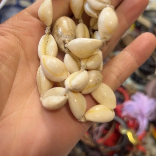 筱***七核桃木/黑胡桃（胡桃木）