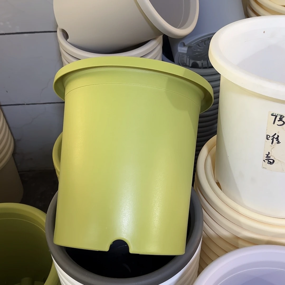微瑕5号2个带托，果绿