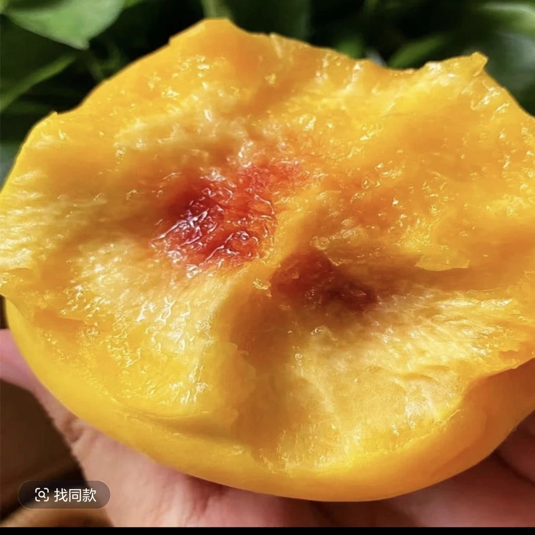 贵州三穗新桐林桃香甜多汁
