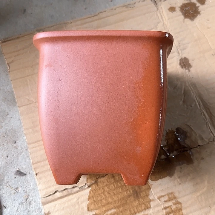 15×15两只福利款花盆