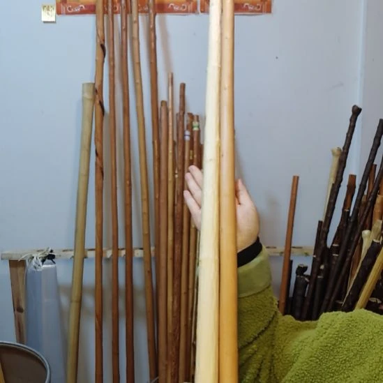 神***枪秦岭石山红荀子，牛筋木