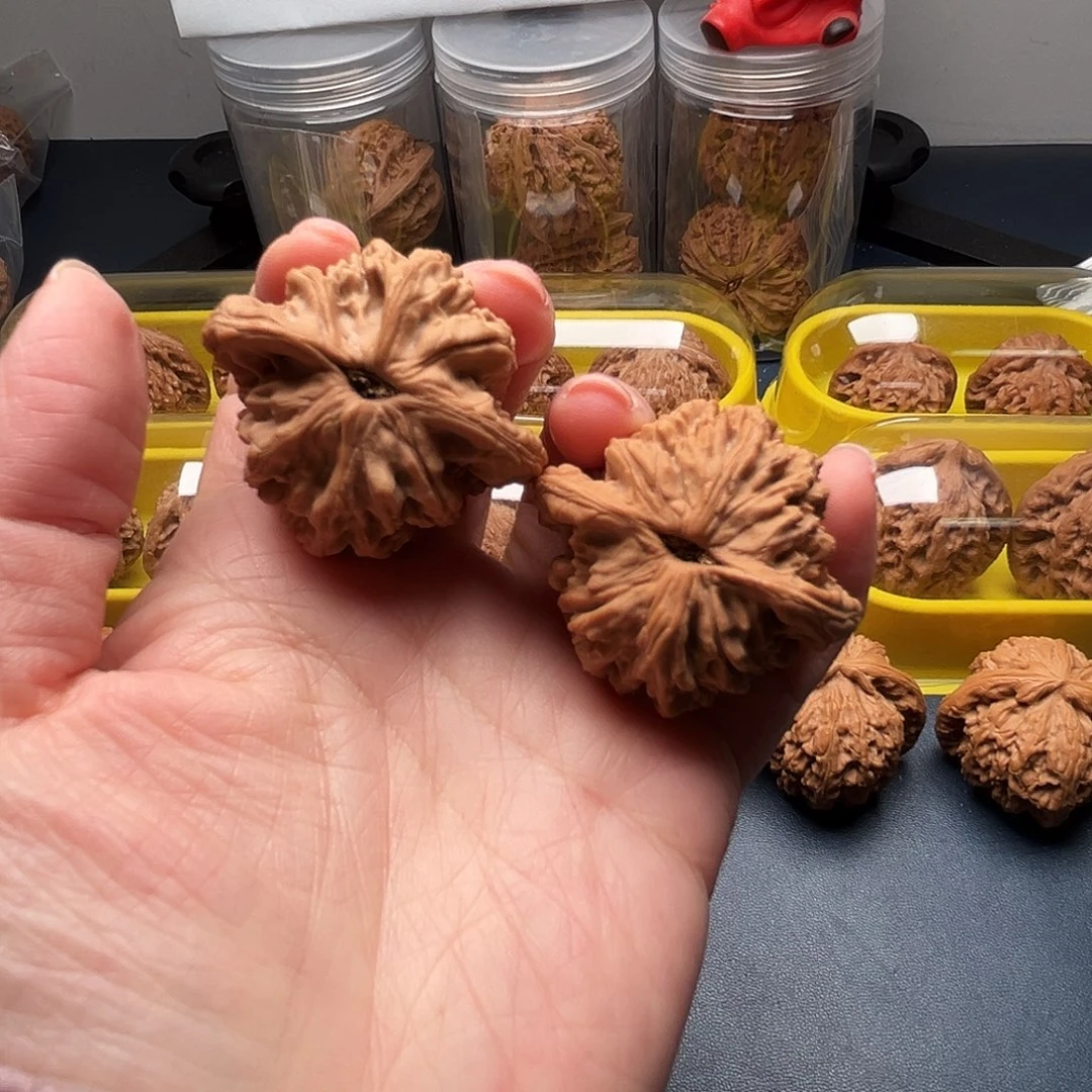 核桃41尺寸麦穗虎头