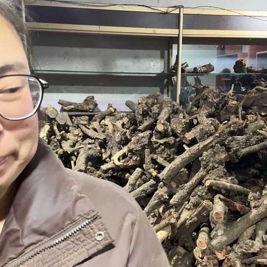 香榧木鹰**空火琉璃的故事毛料摆件