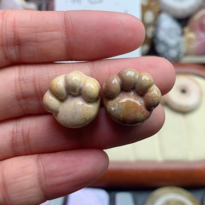 硅化珊瑚（珊瑚玉）颈饰未镶嵌