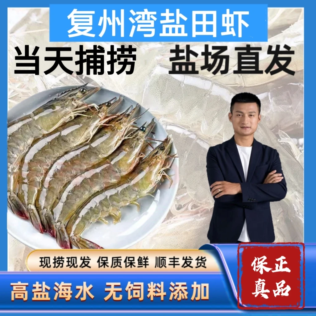 复州湾盐场虾/50 头左右/斤（大小不均、嫌小勿拍）