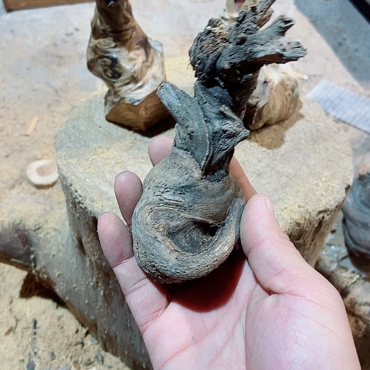 柏木太行山素材太行山区柏木木木