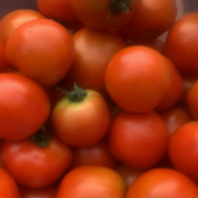 【小哥助农】农家西红柿 2斤