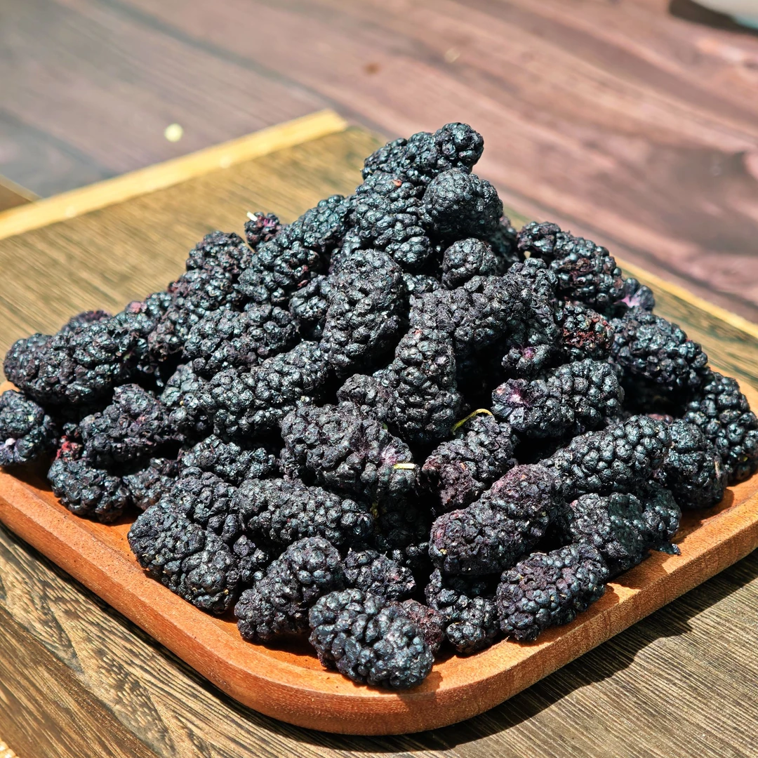 冻干老树黑桑葚 酥脆可口 冬青收茶