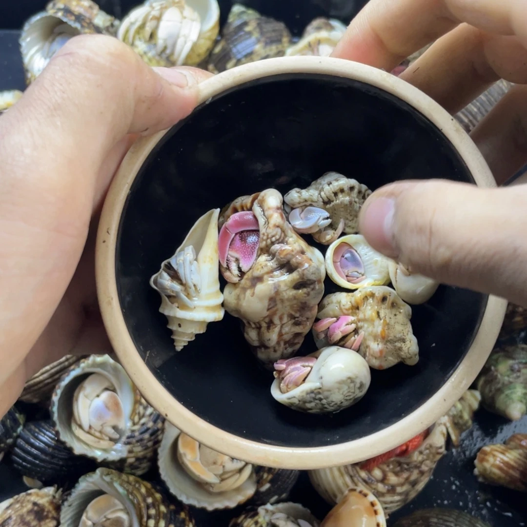 打包粉色。