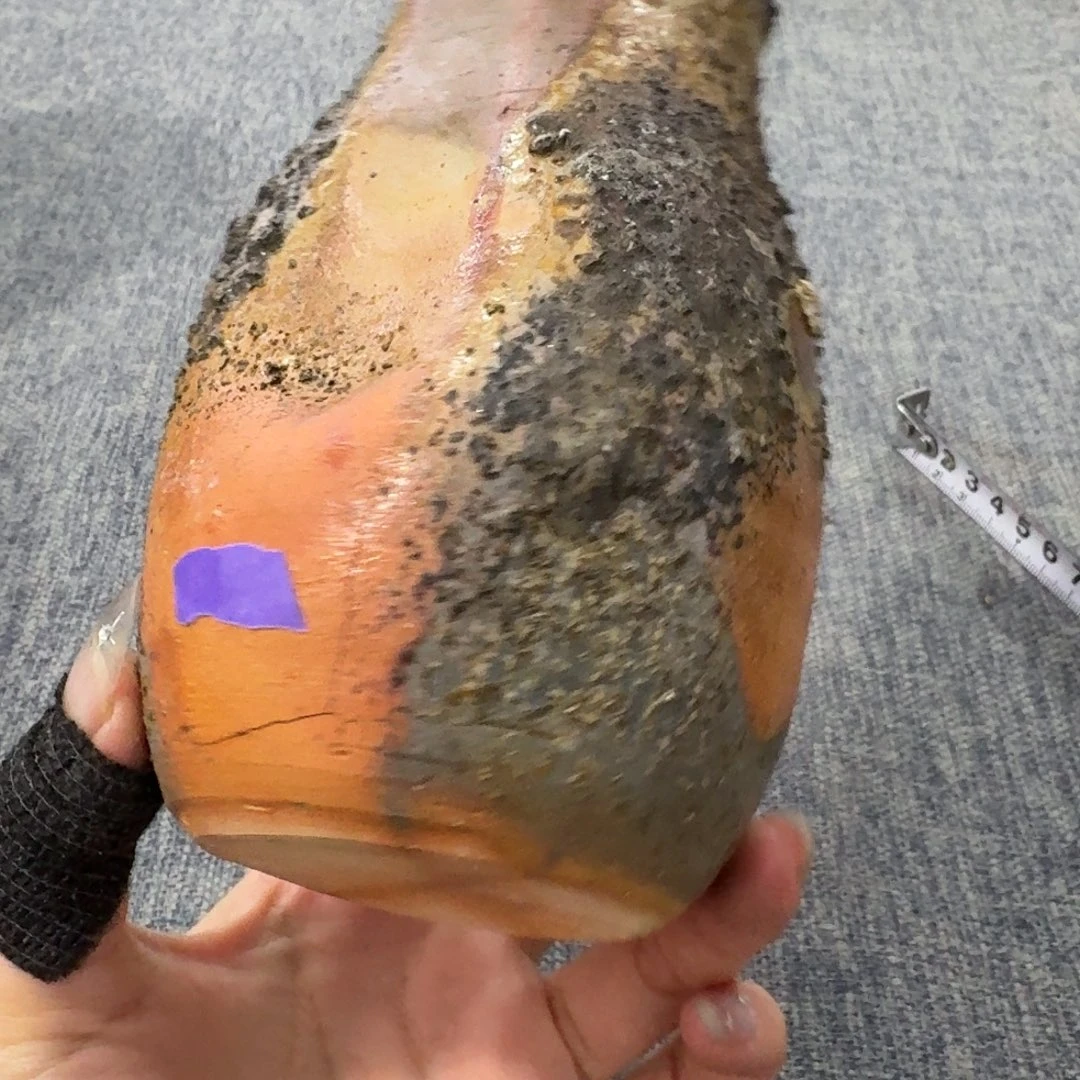 非常美丽漂亮的物品