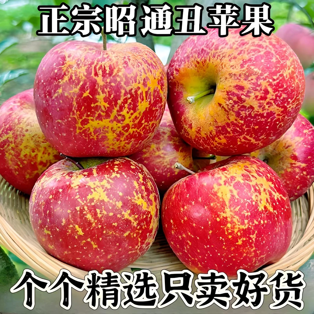 正宗云南昭通冰糖心丑苹果脆甜多汁现摘现发当季新鲜水果3/5/10斤