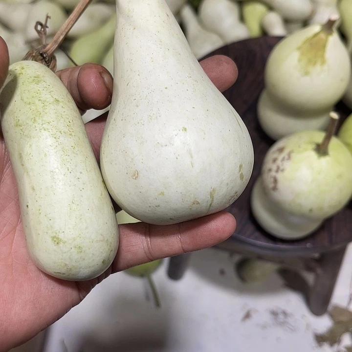 非洲紫檀（红花梨）自**忧