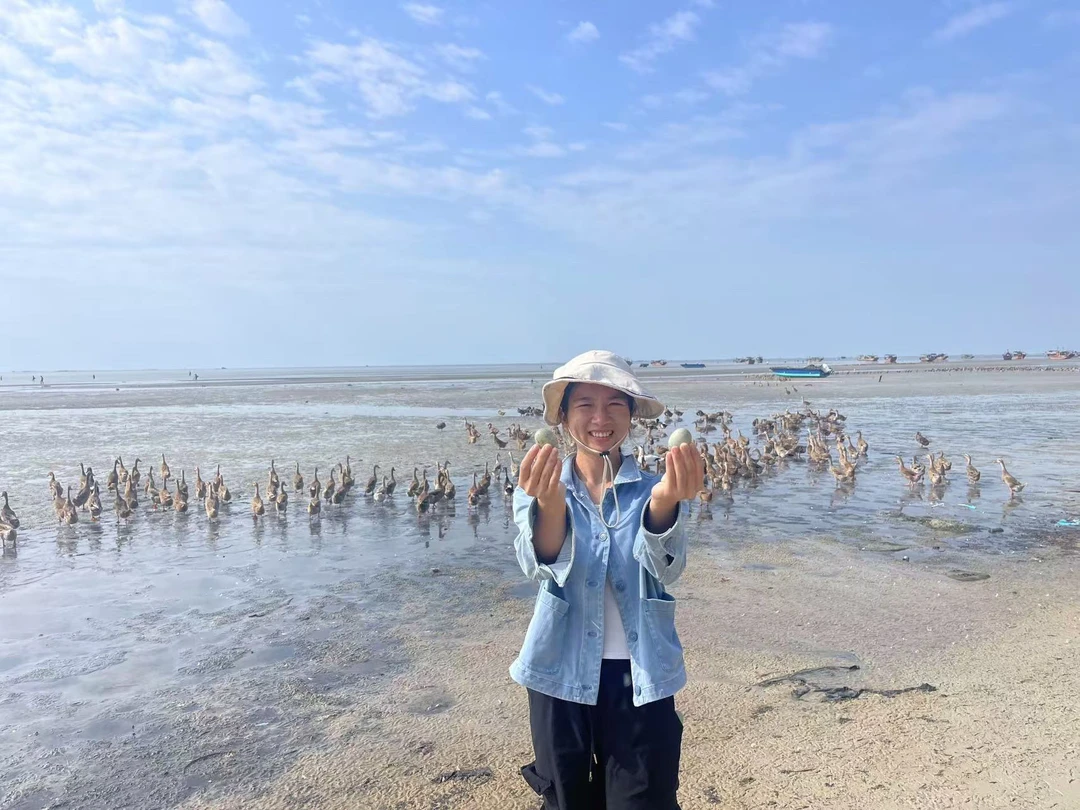 海边原生态放养海鸭蛋生鸭蛋（小个海鸭蛋）