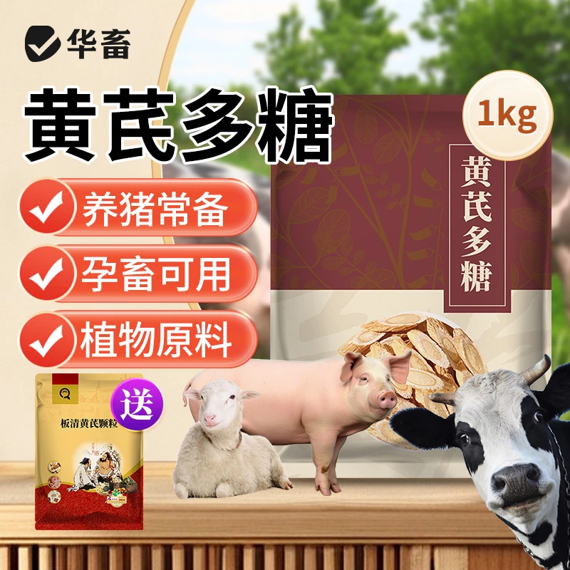 【10送15】黄芪多糖兽用鸡鸭鹅增蛋饲料添加剂养殖常备S