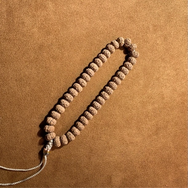 【七瓣·云顶】老树王单圈手持小金刚菩提