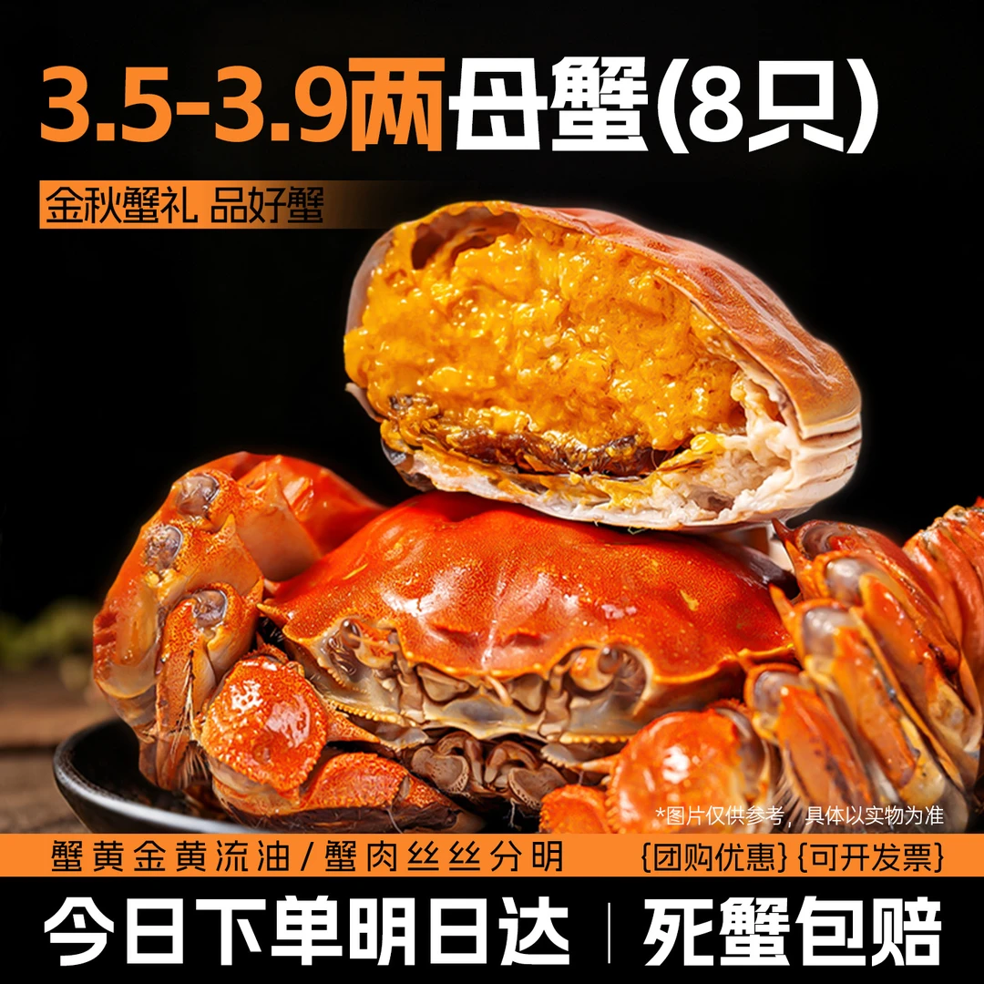 【活蟹现发】50规格【次日达】江苏兴化大闸蟹3.5两/只 8只全母足量蟹