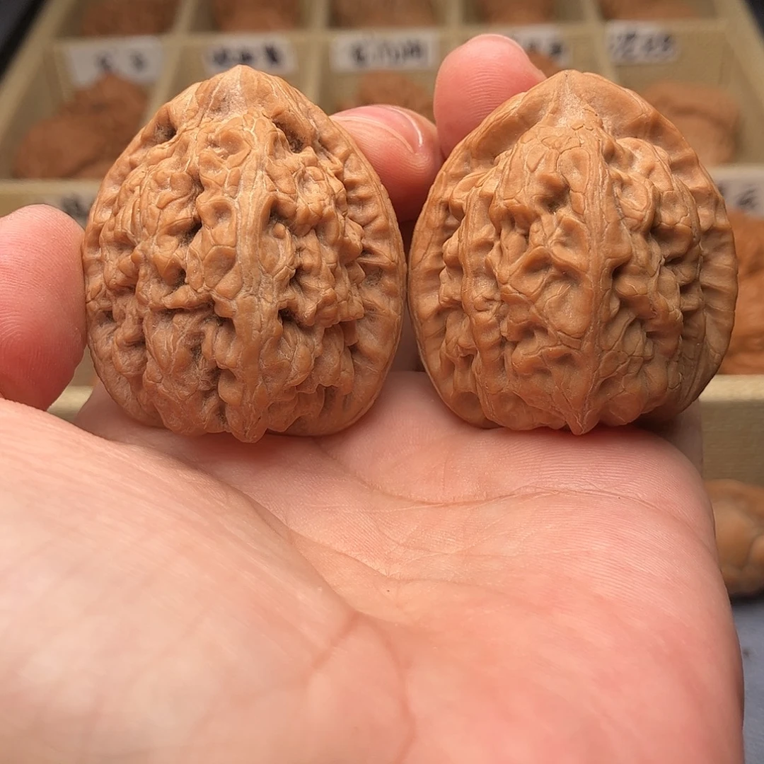 文玩核桃把件红锦鲤42（头货精品