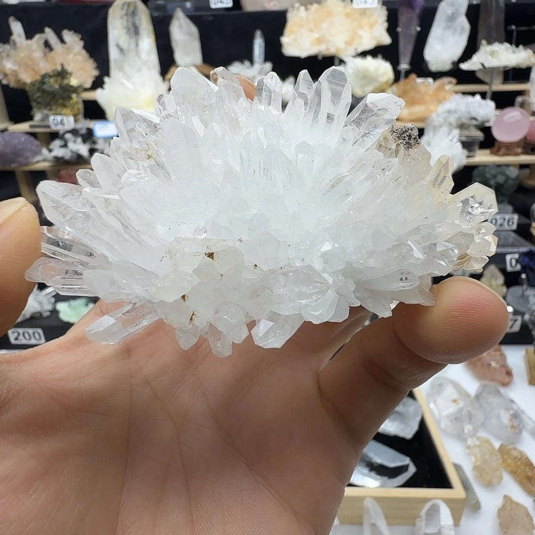 石材金口河菊花晶