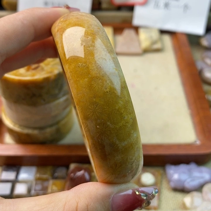 硅化玉颈饰未镶嵌