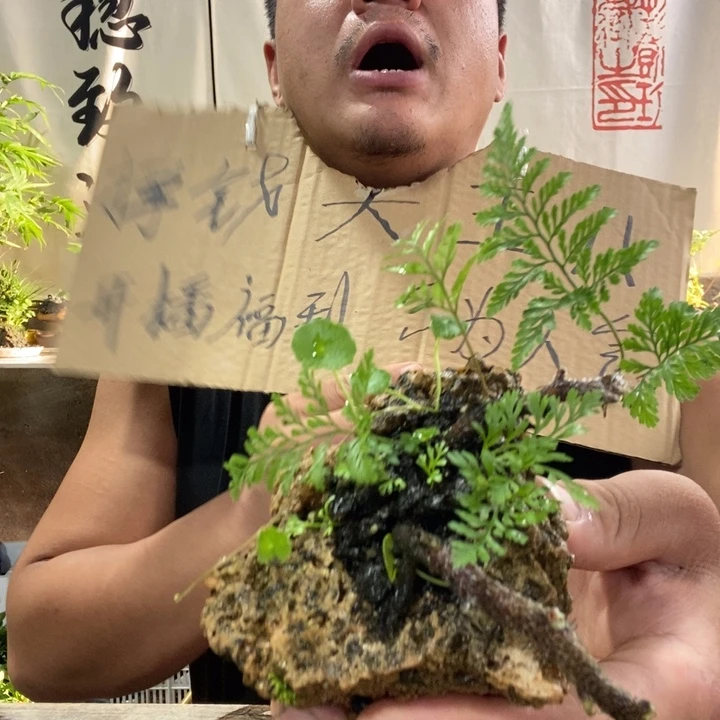 无花朵退款拉黑拉黑60