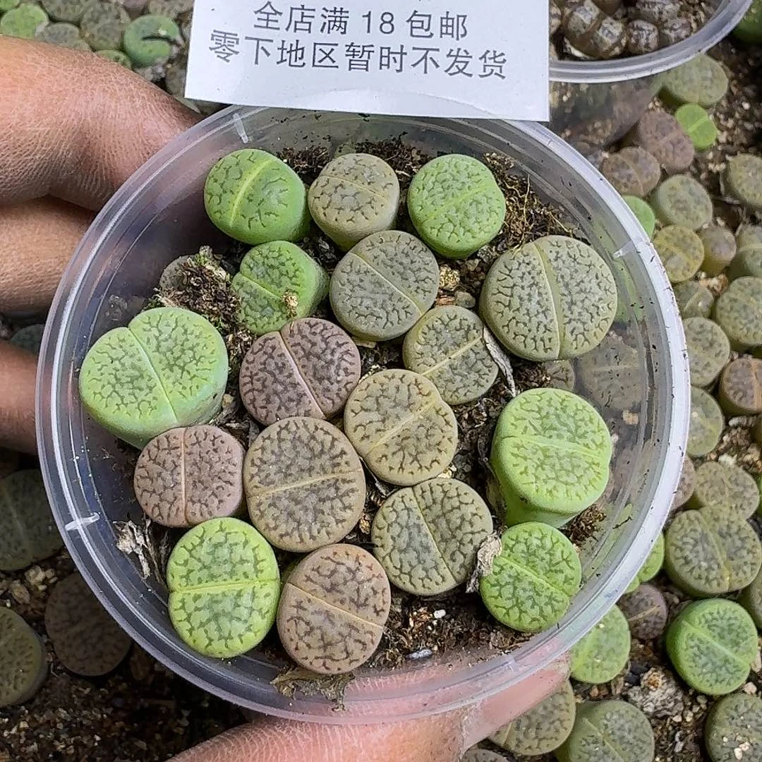 1347 哈哈哈哈哈哈哈哈哈