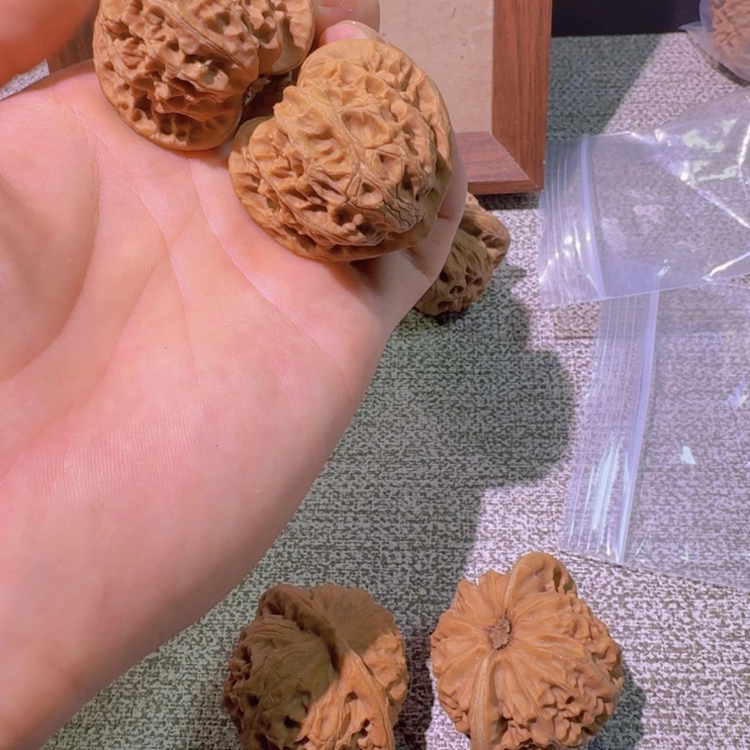 41+全品宫灯狮子头