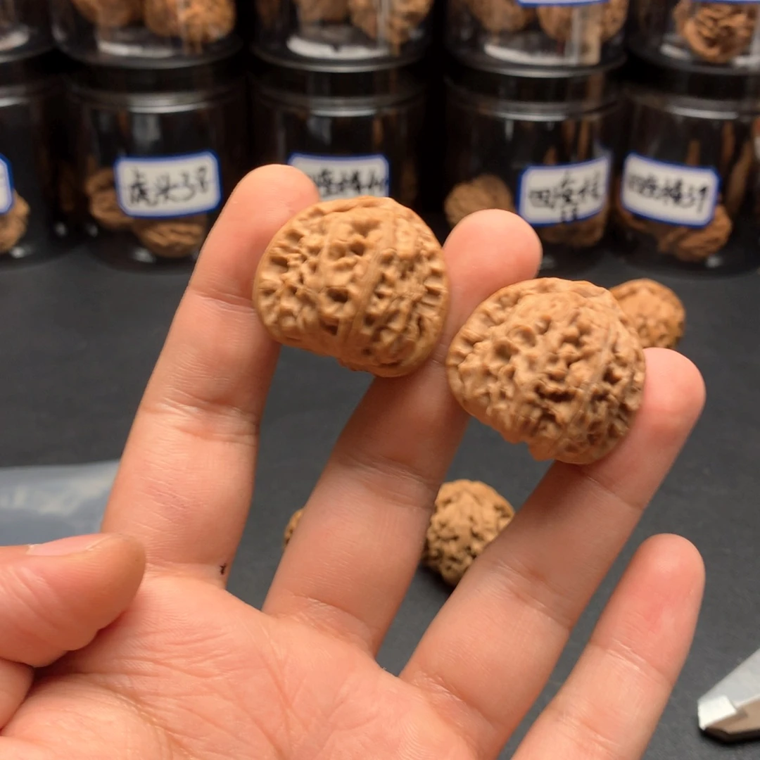 白狮子33白茶11111111