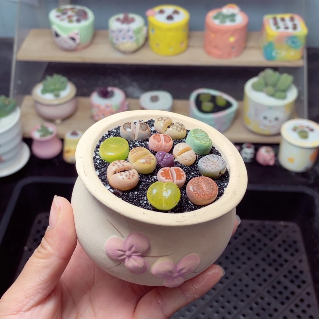 w8928 带盆土发货-零下地区拍保温箱