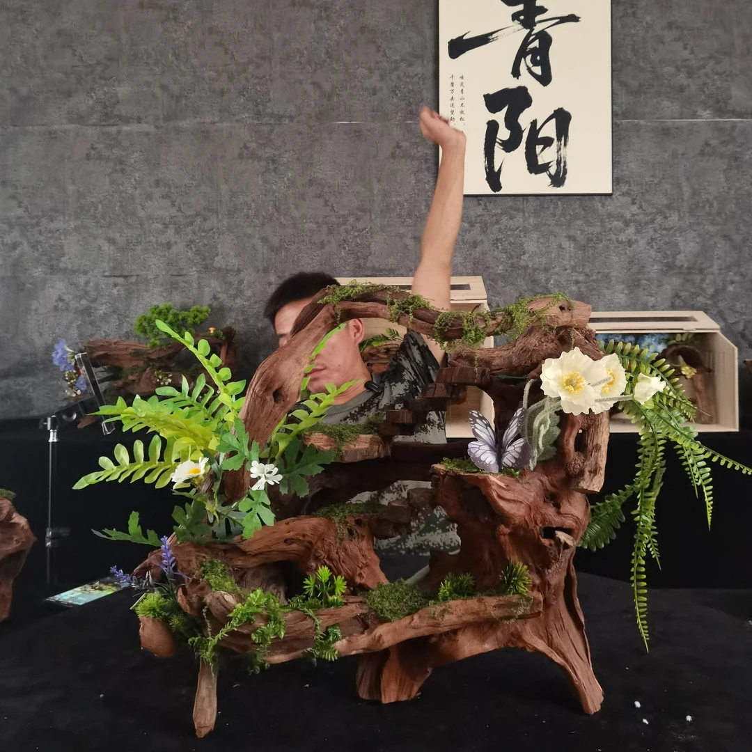 鱼缸造景适用的寄居蟹沉木造景材料