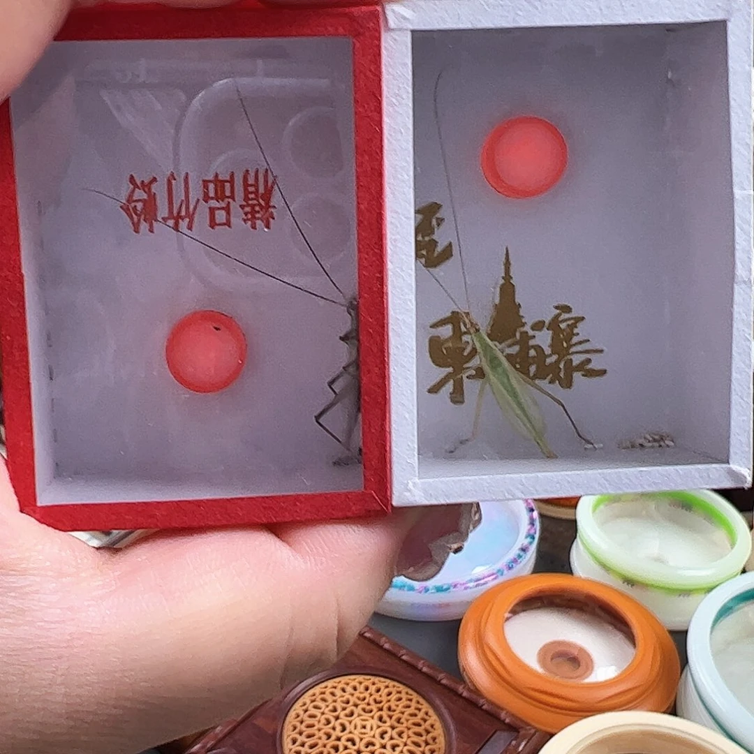 用***0哈哈哈紫竹柬埔寨