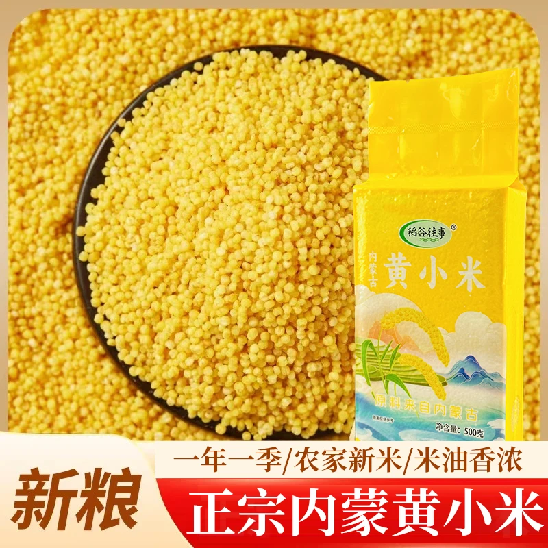 内蒙油糯黄小米月子小米粥农家新米熬粥煮饭米油优质杂粮农产品
