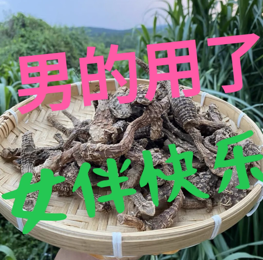 山货土特产 阿勃～参 ～龙脊 泡酒 泡水炖汤 好货