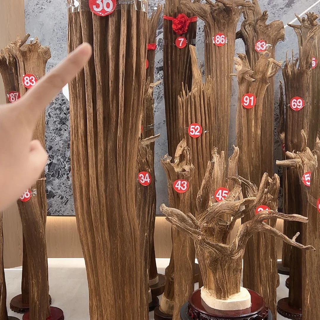 李***平沉香沉香碎屑天然沉香原材料