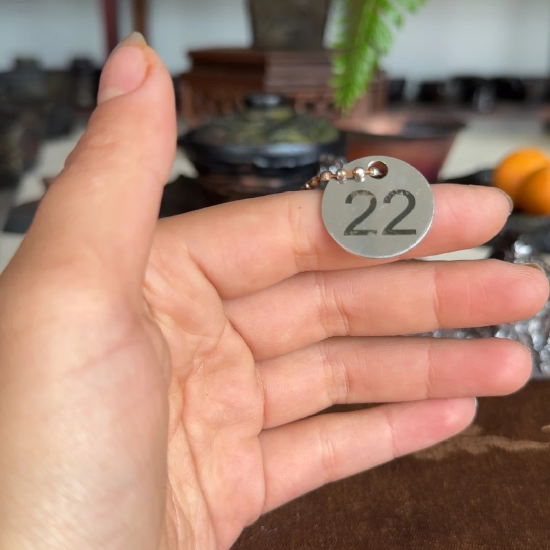 一***度荥经黑砂22号1只只