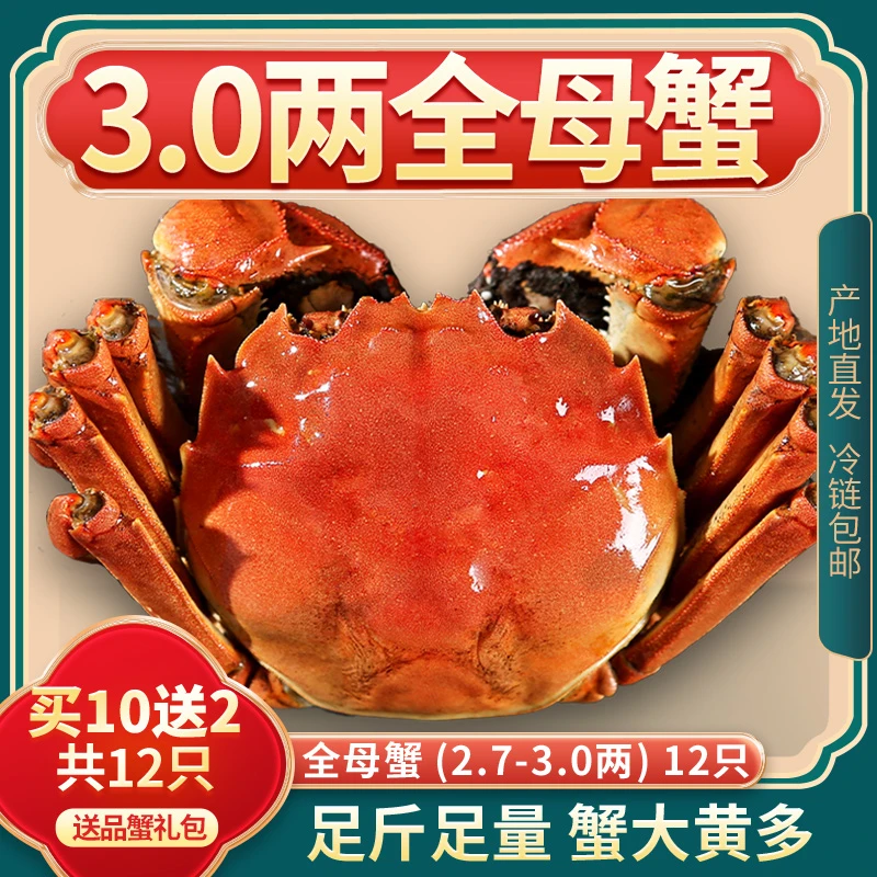【活蟹】煌鲜尚品精品大闸蟹全母蟹2.7-3.0两8/10/12只鲜活礼盒装