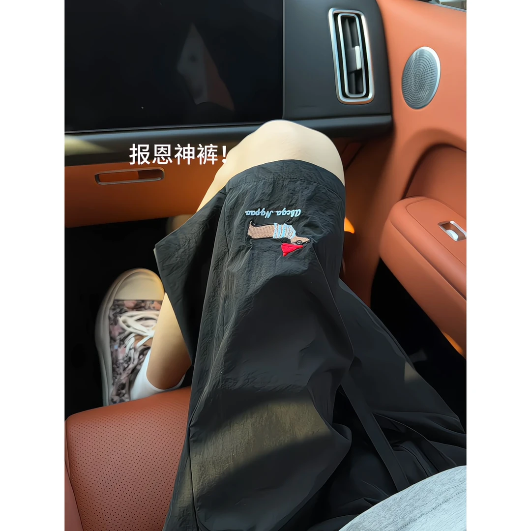 美式刺绣腊肠狗速干短裤男夏季薄款2025新冰丝透气五分篮球休闲裤