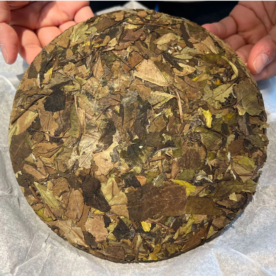 【枕山眠】云涧·2023年紧压白茶（寿眉）福鼎白茶 350g