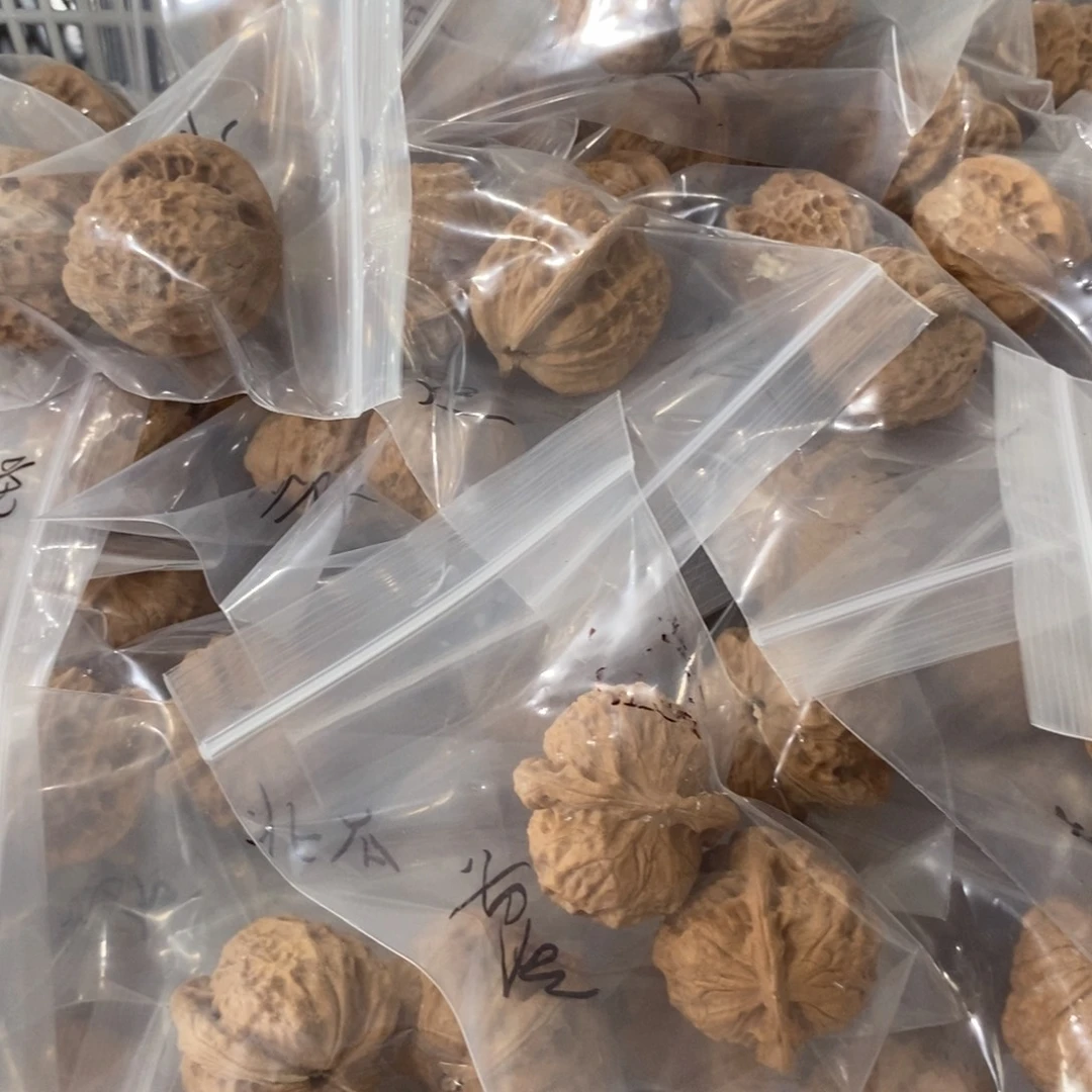 文玩核桃吊坠北瓜有瑕疵