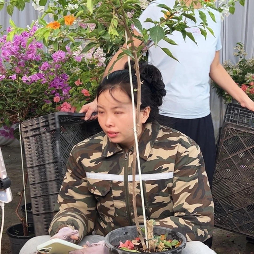 完全开放F65橙桑巴