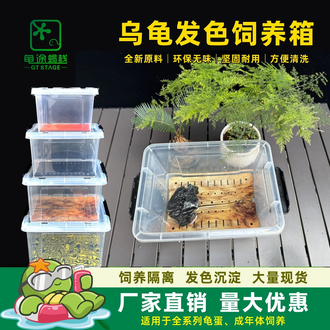 乌龟发色饲养隔离沉淀窄桥龟苗亚克力木纹鱼缸定制龟缸