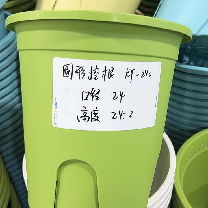 正品圆控口24高24果绿无托8只