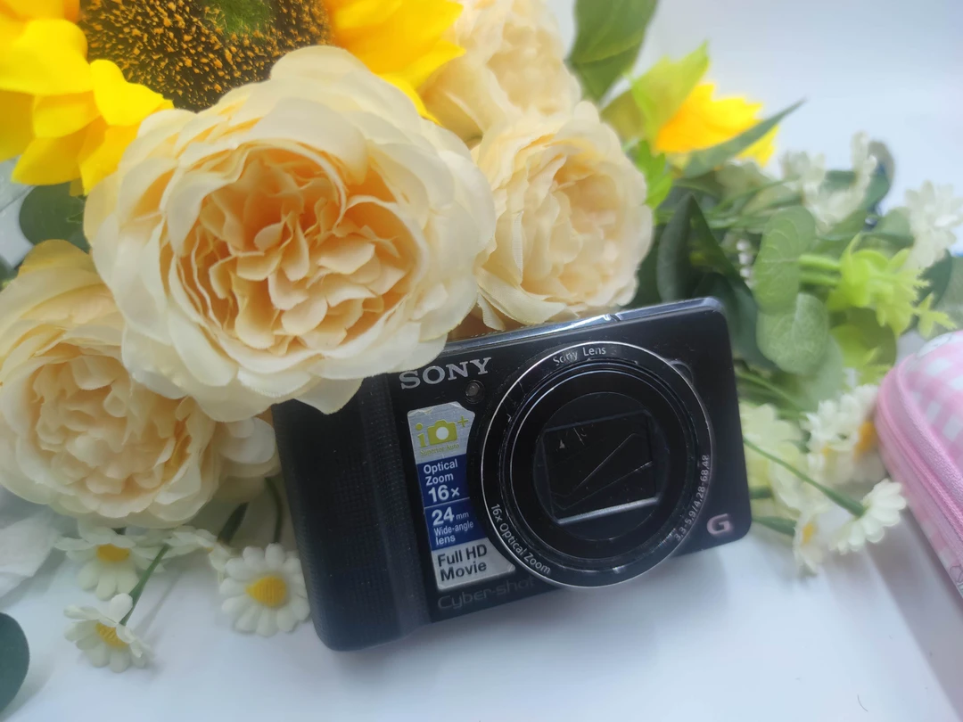 95新 Sony/索尼 索尼HX9v 像素高 小长焦出片清晰清透感