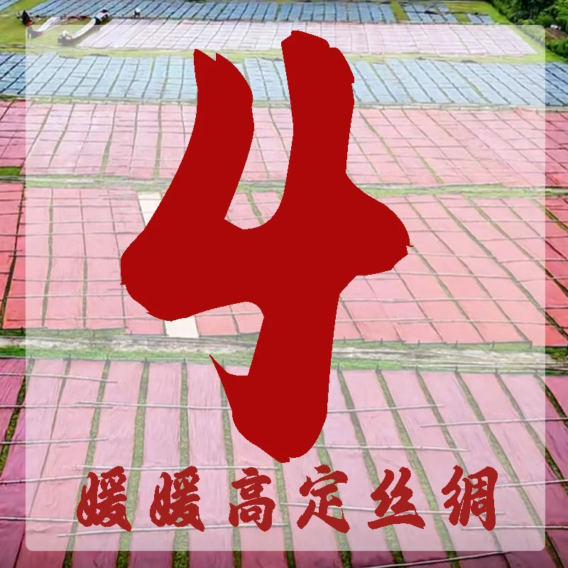 4号定向链接真丝面料 不支持七天无理由！介意勿拍