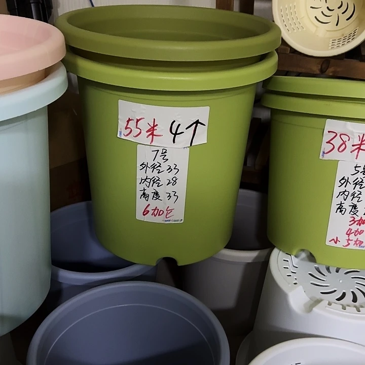 白色5号3个6号2个无托