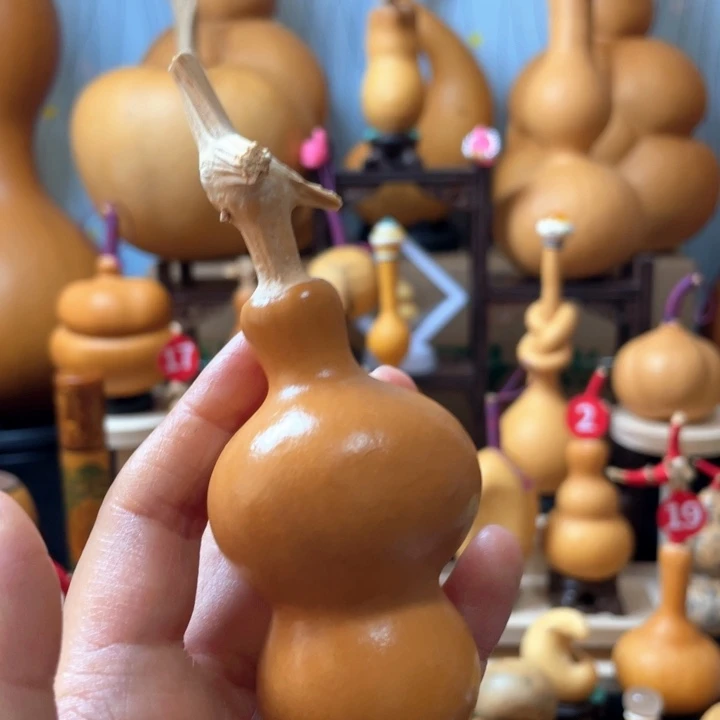 俗***…葫芦丝老师在讲道理吗