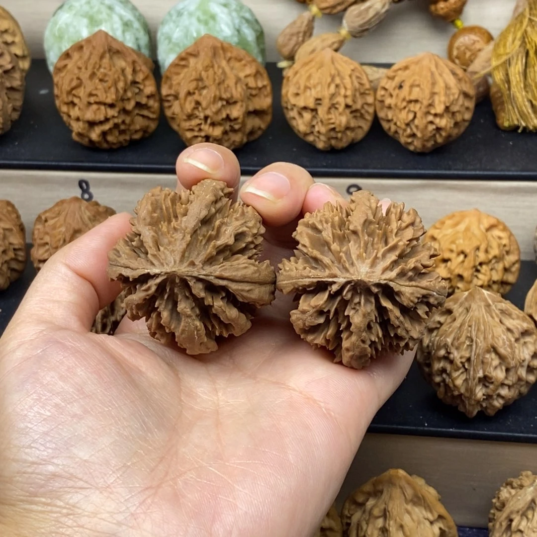 王***人文玩核桃把件霸王花41