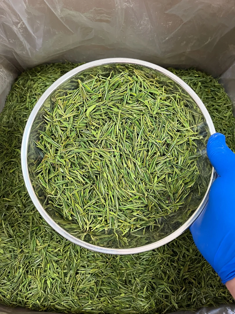 【400#】2025年明前毛峰白茶 兰花香醇 鲜爽回甘