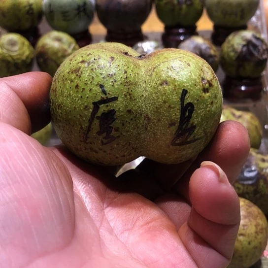 吊坠桃核核桃核桃