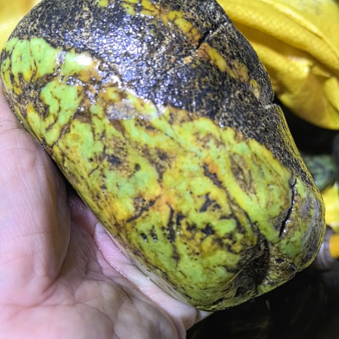 *****有机玻璃藏玉药王石原石